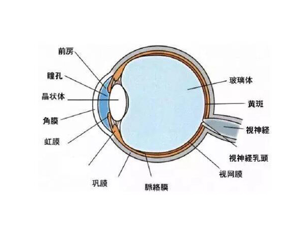 小心！高溫性眼灼傷